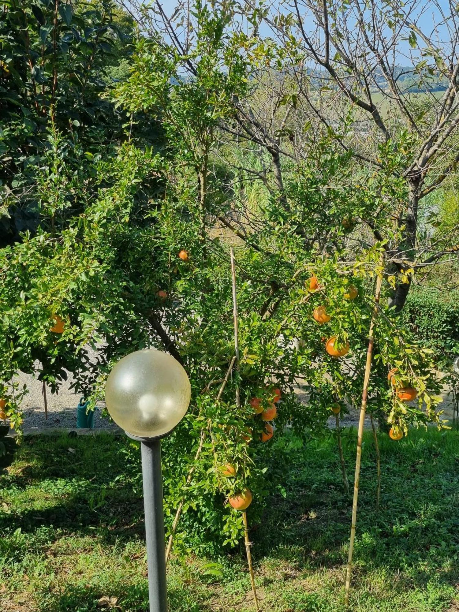 Casa Imola Daire Poggibonsi Dış mekan fotoğraf